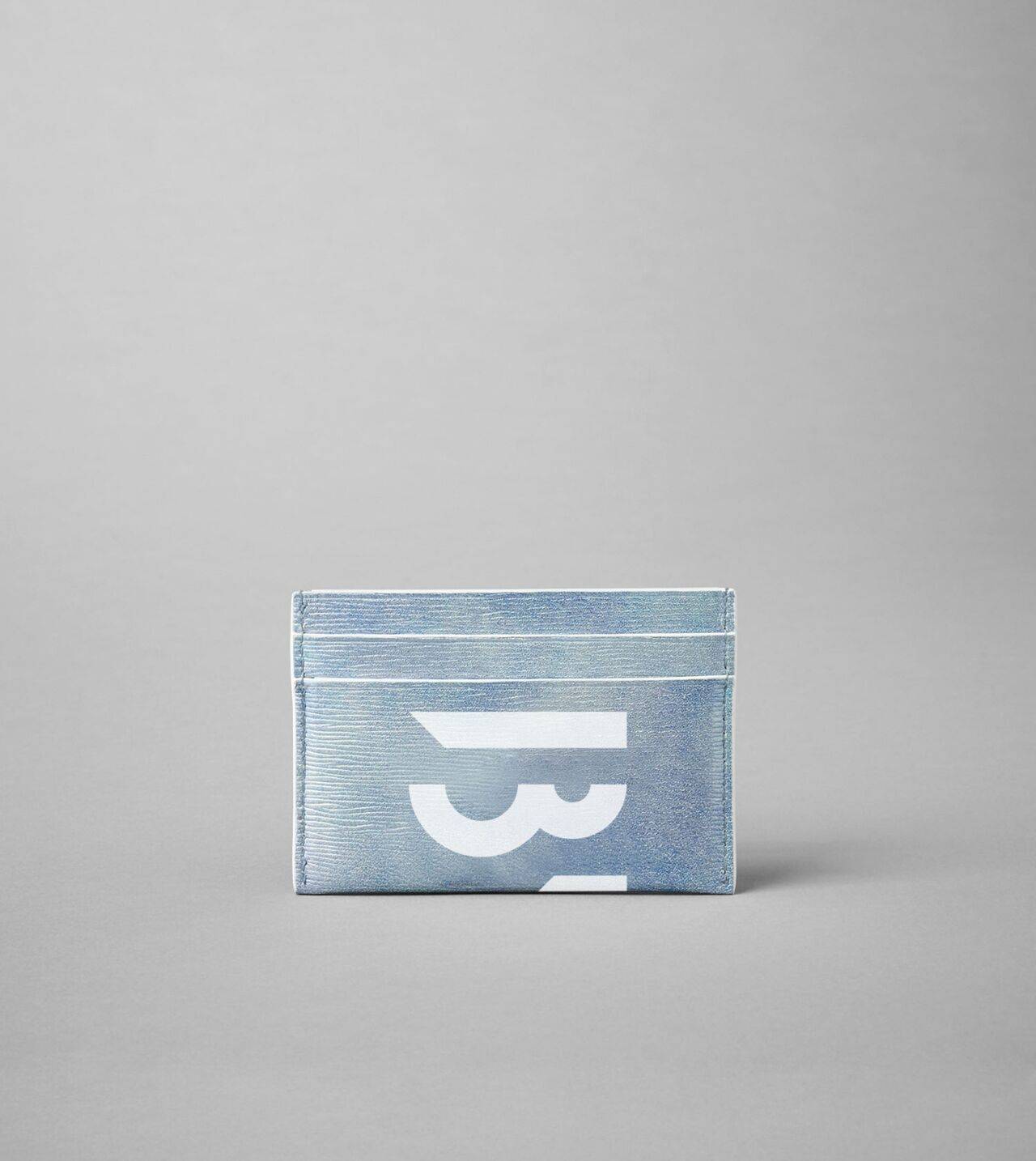 Credit card holder in Sky blue