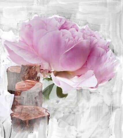 Blanche 7.5ml Roll-on perfumed oil