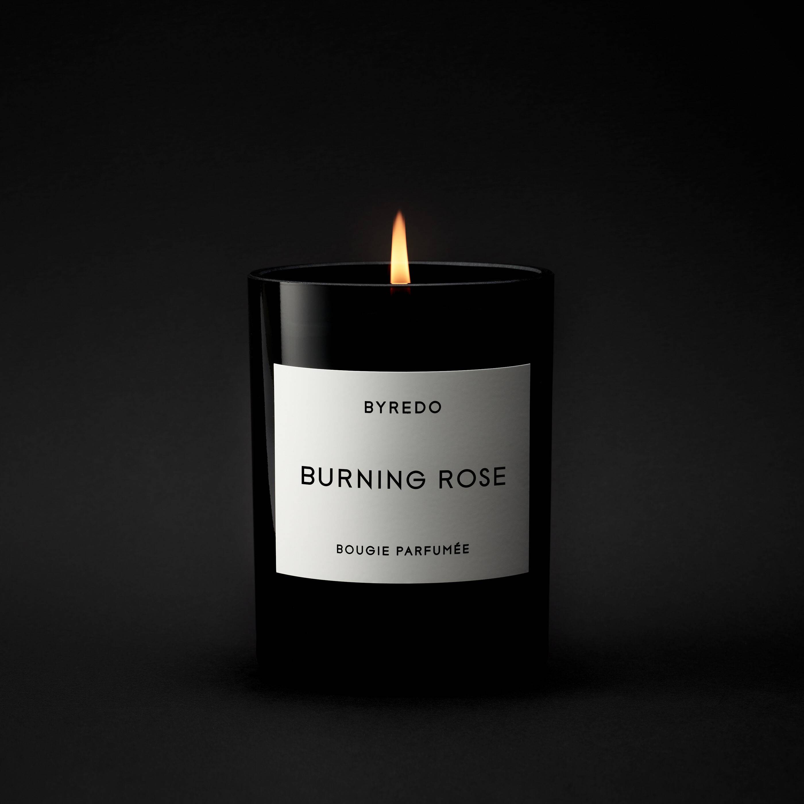 Burning Rose