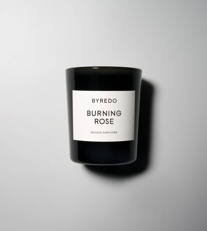 Burning Rose
