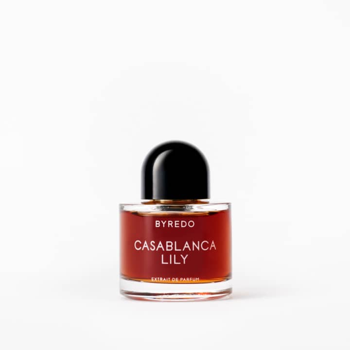 Casablanca Lily