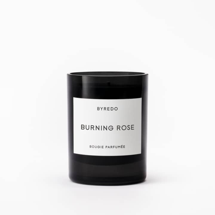 Burning Rose