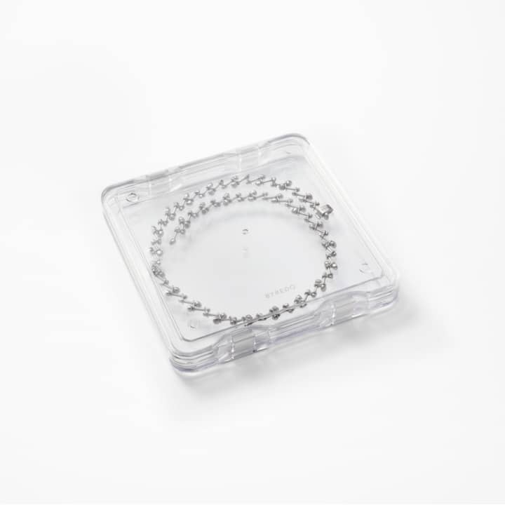 Collana in Argento